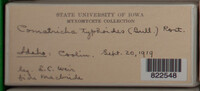 Image Associated With the Occurence